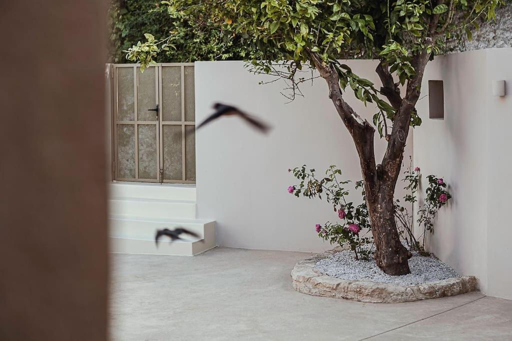 Villa Lotusland, A Relaxing House At Amari Rethymno Agia Fotini  Esterno foto